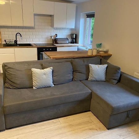 Apartament W Malowniczej Sosnowce ซอสนุฟกา ภายนอก รูปภาพ
