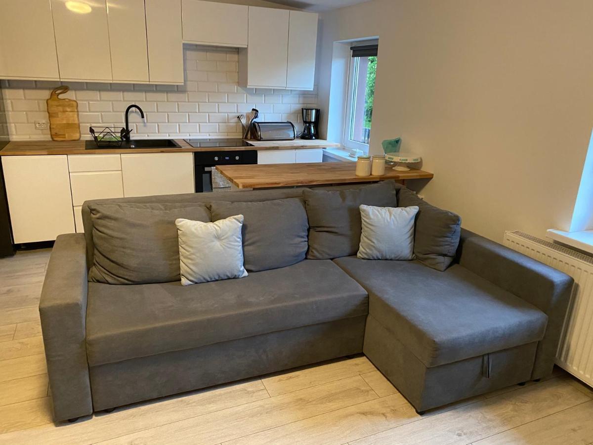 Apartament W Malowniczej Sosnowce ซอสนุฟกา ภายนอก รูปภาพ